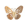 Wallity Farfalla 2